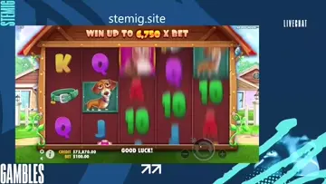 stemi gg
