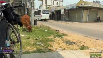 чё зыркаешь