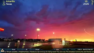 q - the shot