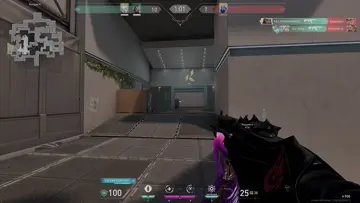 XD