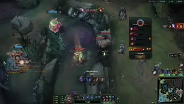 Lo que juega mi tahm 