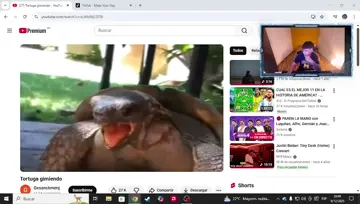 TROLLEADO PUTO