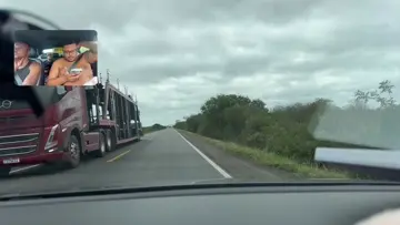 pig ddormindo 