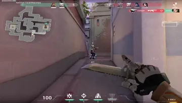 xd