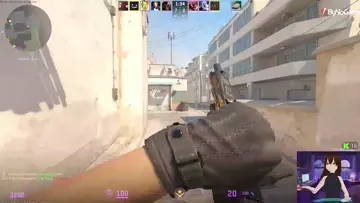awp5