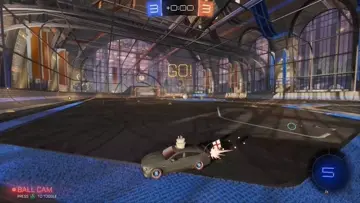 Sick goal that mate