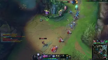 bot th