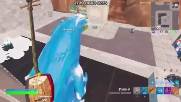 XD