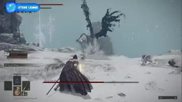 death rite bird