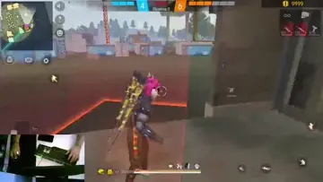xd