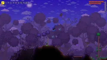 BOINK