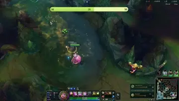 sup jungle