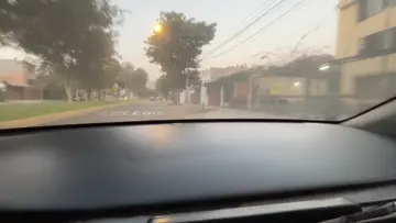 Nice scene