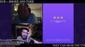 Turtle stops watching the stream