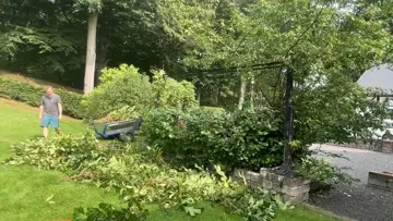 trowing whit some small sticks