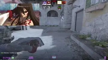 zınk zınk