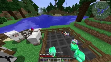 pollo tepeado