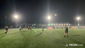 Segundo Gol vs Guineas