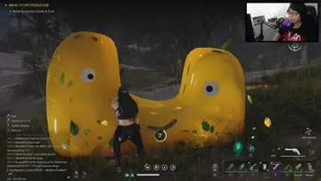 hive people