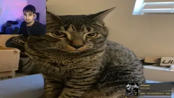 i got 2 phones