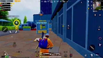 flanks 