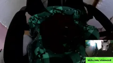 mini RECIEN NACIDO