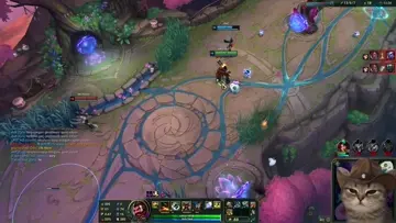 quadra