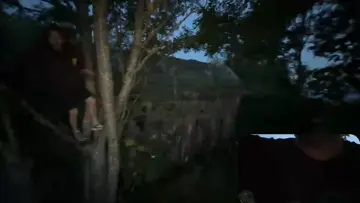 EPIC MOSQUITO ATTACK