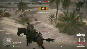 Horse