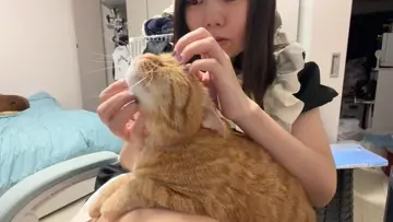かわうそ