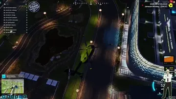 Wild Donkey chase