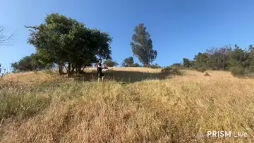 CTMMMM