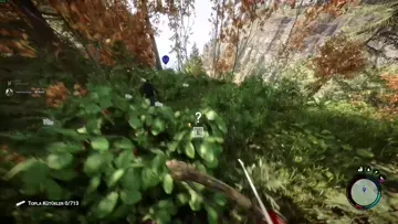 eski the forestci