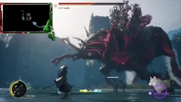 nishi fight