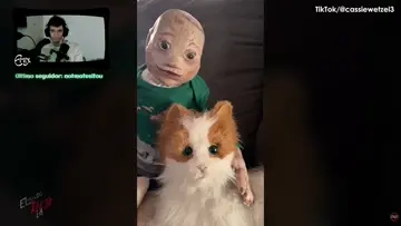 Muñeco choto