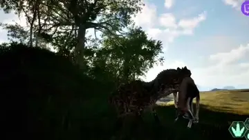 Sacude