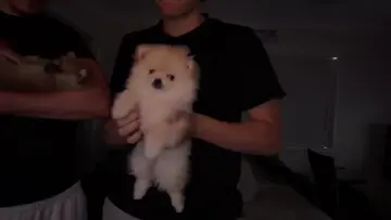 ..