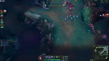 TR VAYNE RANKA OYNUYORUZ...