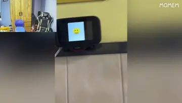 se tragan el awa