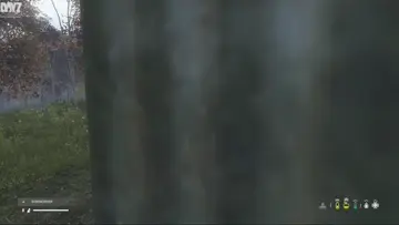 caught climbing down a ladder