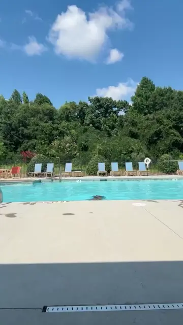 pool therapy to rehab 