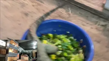 nooo Ragnar se volvió rebelde