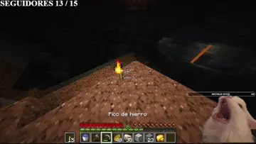 Muerte estúpida