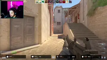 flank