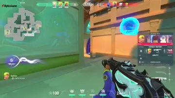 gekko fuck me gekkoooooo