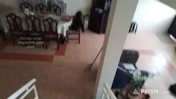 elexa algun dia tendre novia