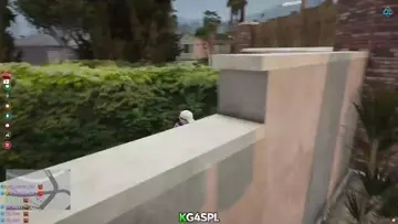 dale wacho jajaja