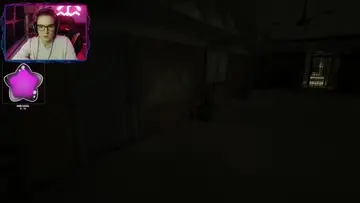 děláš si píču