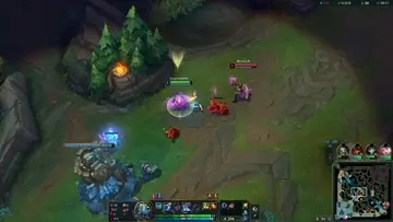 high level pperformance