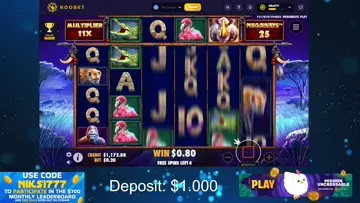 Dead spins -> 3329x Rigno Megaways